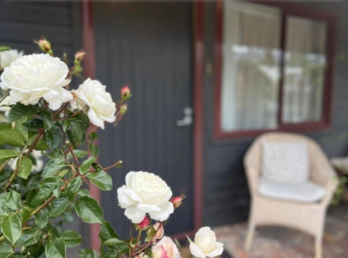 #2 Glenorchy Alpine Suite Dış mekan fotoğraf